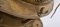 Islamische Laternen-Hängelampe aus durchbrochenem Messing im Stil von Moresco 13