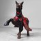 Figurine Cheval de Guerre Vintage en Fonte Noire, Japon, 1950s 2