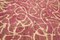 Large Pink Overdyed Area Rug, Image 20