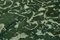 Large Green Overdyed Area Rug, Image 5