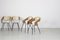 Dining Chairs by Carlo Ratti for Industria Legni Curvati, Milan, 1950s, Set of 6 7