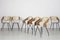 Dining Chairs by Carlo Ratti for Industria Legni Curvati, Milan, 1950s, Set of 6 5