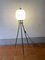 Tripod Floor Lamp in Brass and Opal Glass, Italy, 1950s 5