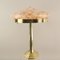 Art Deco Brass Table Lamp with Colored Marbled Glass Shade, Vienna, 1930s, Image 1