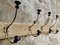 French Wall Coat Rack, 1930s 6