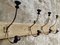 French Wall Coat Rack, 1930s, Image 6