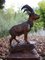 Swiss Black Forest Ibex Sculpture, 1920s, Wood 3