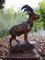 Swiss Black Forest Ibex Sculpture, 1920s, Wood, Image 3