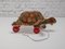 Large Plush Turtle Toy with Glass Button Eyes and Wheels from Steiff, 1960s 4