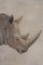 French Artist, Rhinoceros, 20th Century, Canvas Painting, Image 2