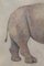 Französischer Künstler, Nashorn, 20. Jahrhundert, Leinwandgemälde 3