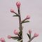 19th Century Botanic Model attributed to Robert Brendel, 1890s 5