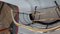 Guardia antincendio a serpentina in rete metallica bordata in ottone vittoriano, Immagine 4