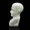 English Phrenology Ceramic Bust, 1970s 5