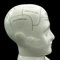 English Phrenology Ceramic Bust, 1970s 7