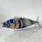 Mid-Century Fisch aus mundgeblasenem Muranoglas, 1970er 4