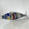 Mid-Century Handblown Murano Glass Fish, 1970s 4