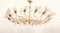 Lámpara de araña grande de 14 brazos de JL Lobmeyr, años 60, Imagen 10