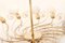 Lámpara de araña grande de 14 brazos de JL Lobmeyr, años 60, Imagen 5
