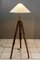 Lámpara de pie extensible, Viena, años 50, Imagen 6