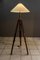 Extendable Floor Lamp, Vienna, 1950s, Image 7