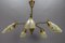 Mid-Century Modern Brass and Glass 5-Light Sputnik Chandelier, 1950s 2