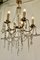 Large French Crystal and Brass 5 Branch Chandelier 2