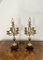 Victorian Brass and Marble Candelabras, 1860s, Set of 2 1