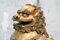 Chinese Lions in Gilt Polychrome Fiber, 1970s, Set of 2, Image 7