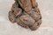 Kneeling Man Pedestal in Carved Wood, 20th Century, Image 5