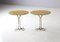 Traccia Side Tables by Meret Oppenheim, 1972, Set of 2 1