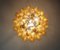 Italian Caramello Petal Chandeliers, 1995, Set of 2 18