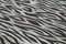 Grey Geometric Wool Flatwave Kilim Rug, 2010s, Image 5