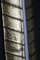 Lange Goldene Wandlampen aus Muranoglas in Blattform im Stil von Barovier, 2er Set 15