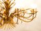 12 luci Werk of Wheat Wreath di Hans Kogl, anni '60, Immagine 10