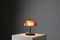 Table Lamp No. 584/P by Gino Sarfatti, 1957, Image 3