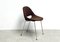 Chaise Sl 58 Vintage par Leon Steynen, 1950s 2