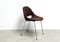 Vintage Sl 58 Chair by Leon Steynen, 1950s 2