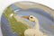 Piatto di servizio ovale con decorazione policroma Duck di Gual, anni '60, Immagine 4