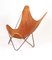 Easy Chair Butterfly Mid-Century par Jorge Ferrari-Hardoy pour Knoll 2