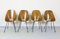 Dining Chairs by Vittorio Nobili for Fratelli Tagliabue, 1950s, Set of 4, Image 7