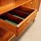 Vintage Cupboard in Teak & Veneer, 1960s 9