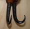 Antique Collectable Black Forest Hand Carved Fox Whip Hook, 1880 8