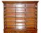 Tall Victorian Hardwood Astral Glazed Bookcase, 1860s, Image 10