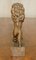 19th Century Hand Carved Royal Armorial Lion from Coat of Arms Crest, Image 13