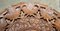 Antiker burmesischer achteckiger Klapptisch aus geschnitztem Palisander 17