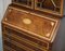 Antique Sheraton Revival Hardwood Walnut & Satinwood Bookcase with Leather Top, Image 4