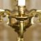 Lámpara de araña francesa rococó antigua de latón dorado con ocho brazos, década de 1900, Imagen 13