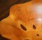 Super Large Monkey Puzzle Wood Fruit Bowl by Gregory Jervis Moreton 13