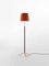 Terracotta and Brass Hall Pie G3 Floor Lamp by Jaume Sans 2